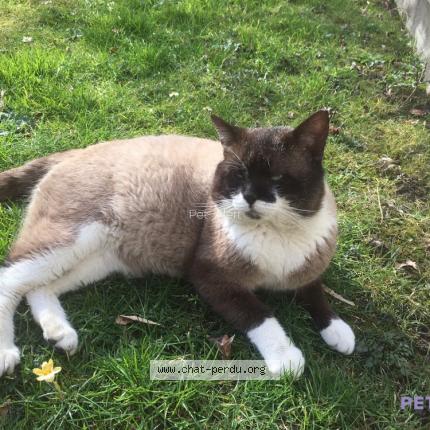 Photo 1/5 Haribo Chat lost in Le havre