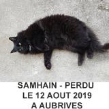 Picture of cat lost at Aubrives