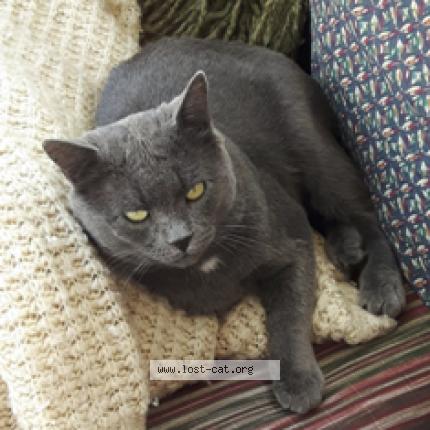 lost and found red deer