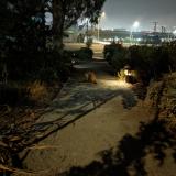 Picture of cat found at San Francisco