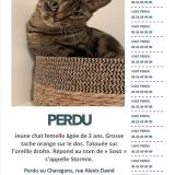 Picture of cat lost at Bollene