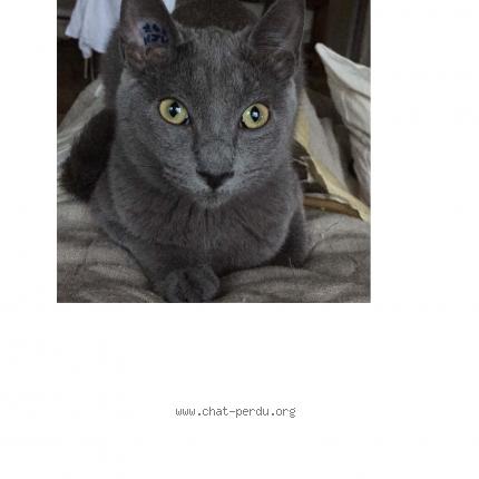 Photo 1/2 Lara Chat lost in L escarene