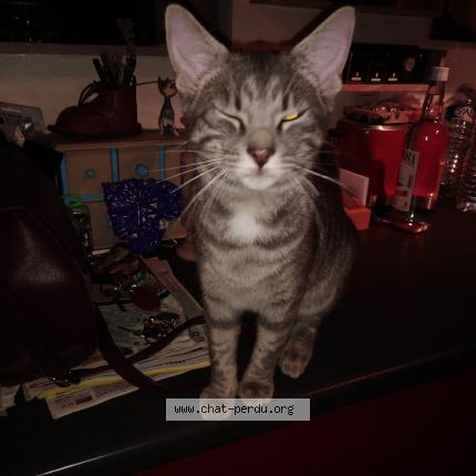 Photo 1/1 Shazam Chat lost in Broons