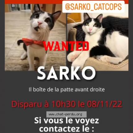 Photo 1/1 Cat reunited Lost in Paris