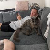 Picture of cat lost at Edmonton