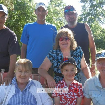 Photo 1/1 Cat reunited Lost in Belleville