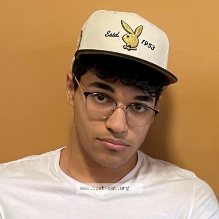 Photo 1/1 Cat reunited Lost in Milton