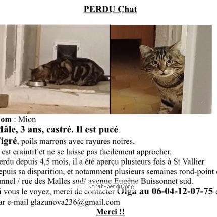 Photo 1/1 Mion Chat lost in Valence