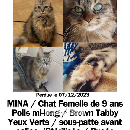 Photo 1/5 Mina Chat lost in Les echelles