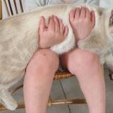 Picture of cat lost at Rouge