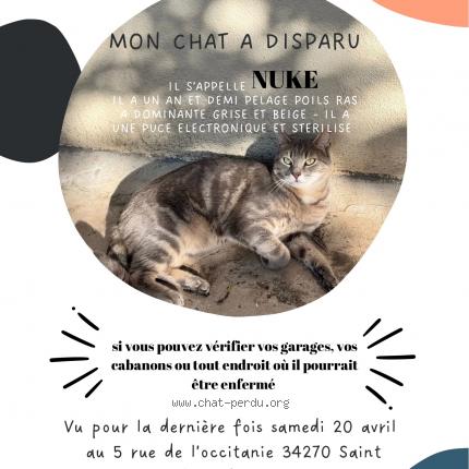 Photo 1/1 Nuke Chat lost in Saint mathieu de treviers