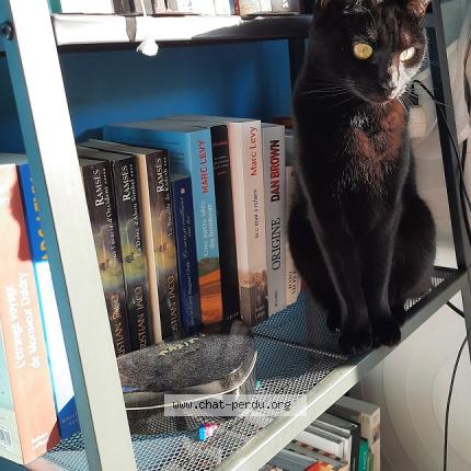 Photo 1/1 Channel Chat lost in Audenge