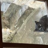 Picture of cat lost at Soisy Sur Ecole