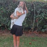 Picture of cat lost at Randan