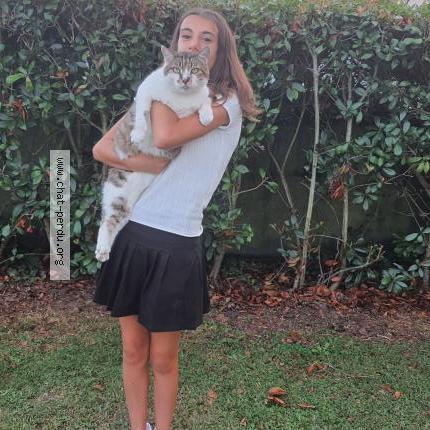 Photo 1/1 Tico Chat lost in Randan