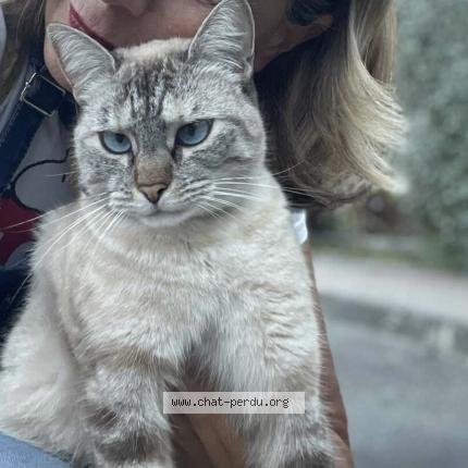 Photo 1/1 Xenna Chat lost in Realville