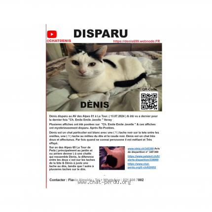 Photo 5/5 D&eacute;nis Chat lost in La tour de peilz