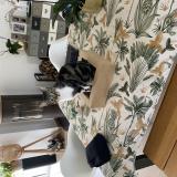 Picture of cat lost at Melesse