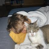 Picture of cat lost at Saint Sulpice