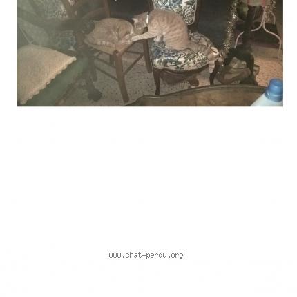 Photo 1/1 TIGROU Chat lost in Saint fort sur gironde