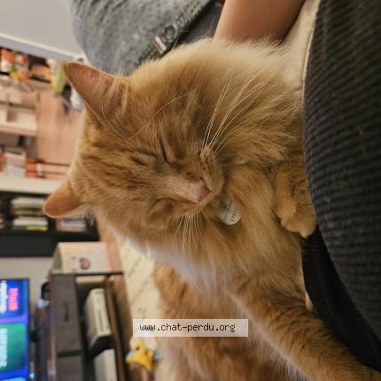 Photo 1/1 &Eacute;mile Chat lost in Trois rivieres