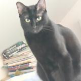 Susi