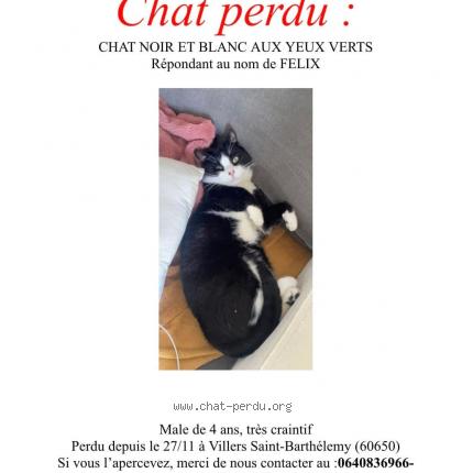 Photo 1/1 Félix Chat lost in Villers saint barthelemy