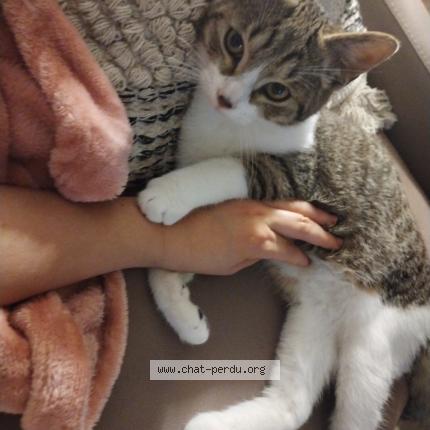 Photo 1/1 Yuka Chat lost in Sceaux