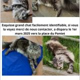 Esquisse