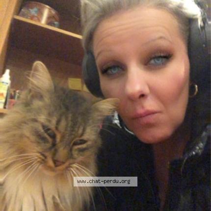 Photo 2/2 Breitzel Chat lost in Boulot