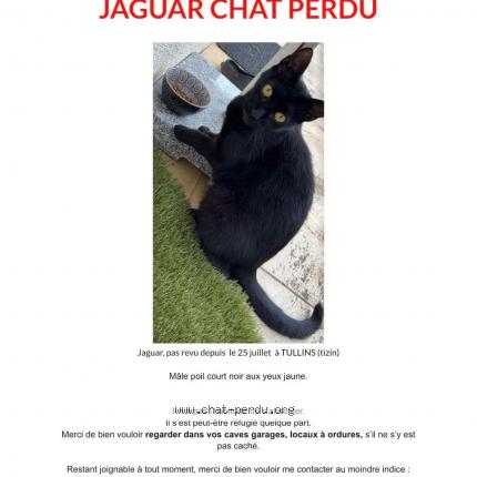 Photo 1/1 Jaguar Chat lost in Tullins