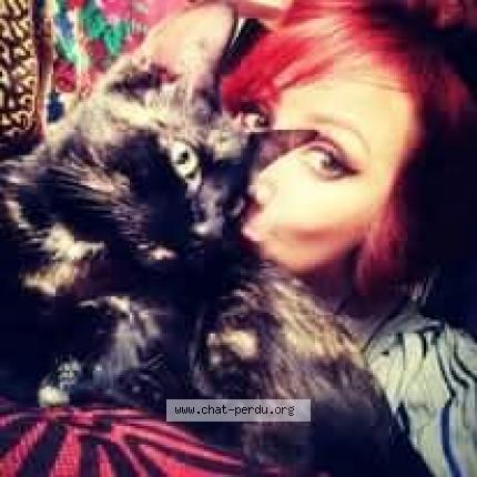 Photo 1/1 Bisou Chat lost in Paris