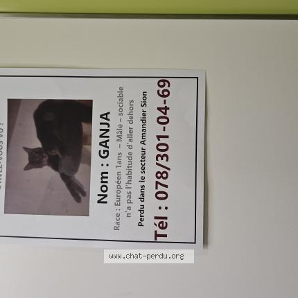 Photo 1/1 Ganja Chat lost in Sion