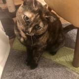 Mimi
