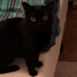 Ma&iuml;ra