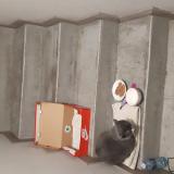 Picture of cat found at Pantin