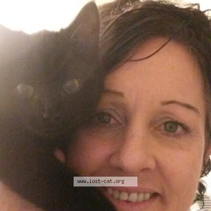 Photo 1/1 Nigel Chat lost in Lake country