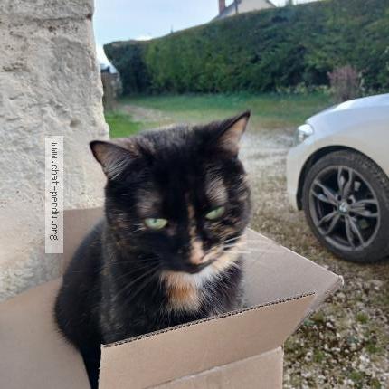 Photo 1/1 MAYA Chat lost in Lissay lochy