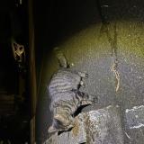 Picture of cat found at Sevres