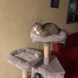 Kiko