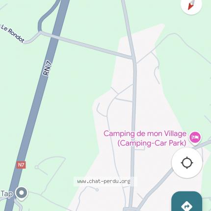 Photo 1/1 Found cat Found in Saint pierre le moutier