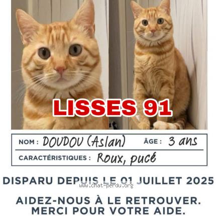 Photo 4/4 ASLAN - Doudou Chat lost in Lisses
