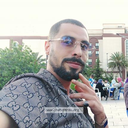 Photo 1/1 Hadi Chat lost in Constantine