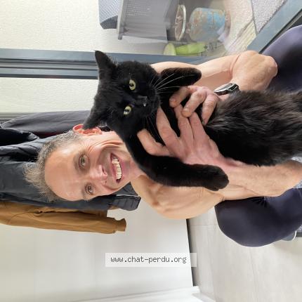 Photo 1/1 Mitsu Chat lost in Ouffieres