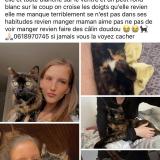 Picture of cat lost at St Maxime