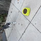 Picture of cat found at St Sebastien Sur Loire