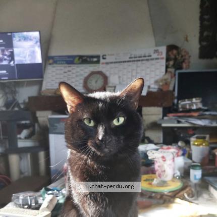 Photo 1/1 TIM Chat lost in Condom