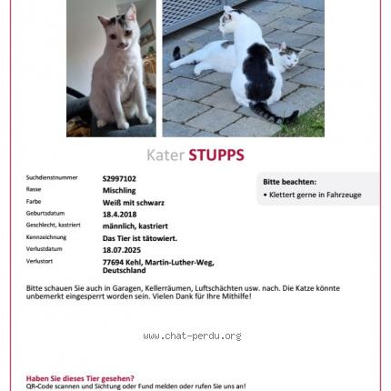 Photo 1/2 Stupps Chat lost in Kehl