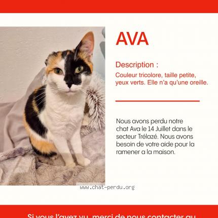 Photo 1/1 Ava Chat lost in Trelaze