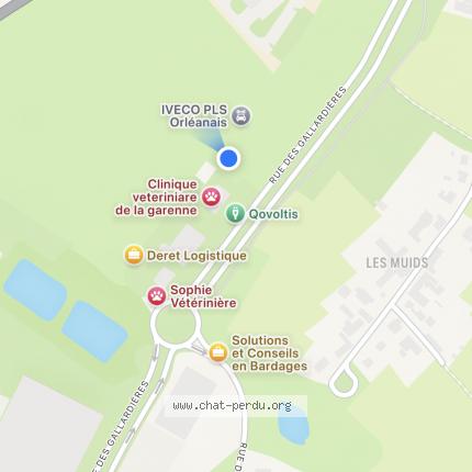 Photo 3/4 MICHKA Chat lost in Ingre